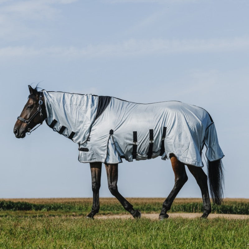 Riding World - Chemise anti-mouches mesh Combo Belly grise