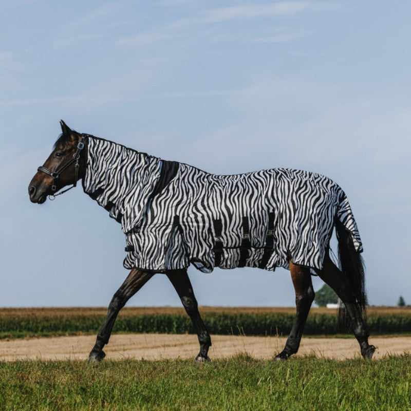 Riding World - Chemise anti-mouches mesh Combo Belly zebre