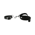 Riding World - Collier et laisse pour chien Oscar noir | - Ohlala