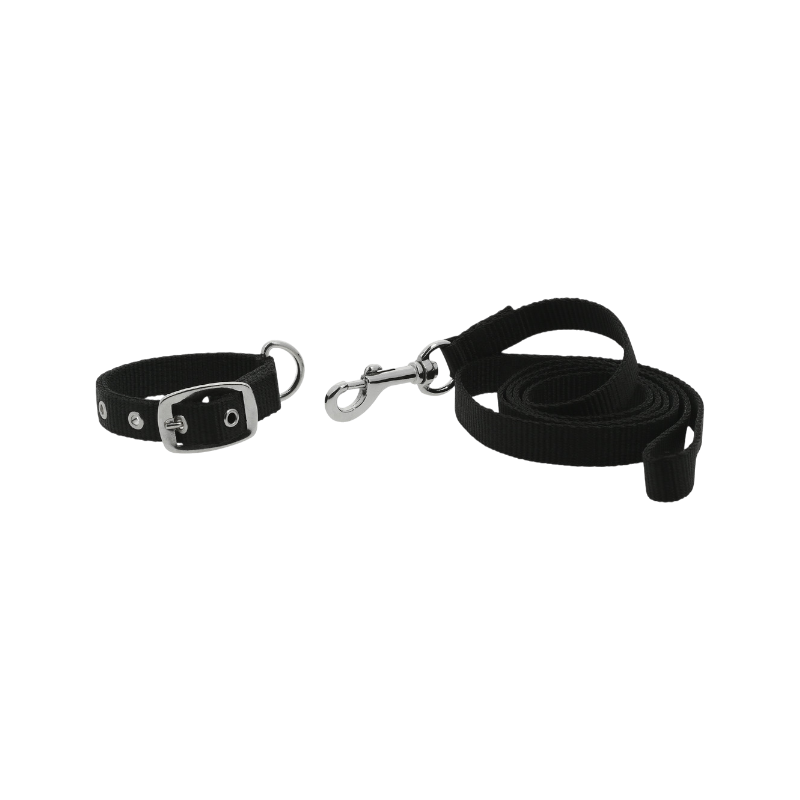 Riding World - Collier et laisse pour chien Oscar noir