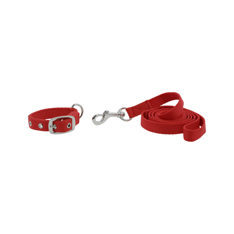 Riding World - Collier et laisse pour chien Oscar rouge