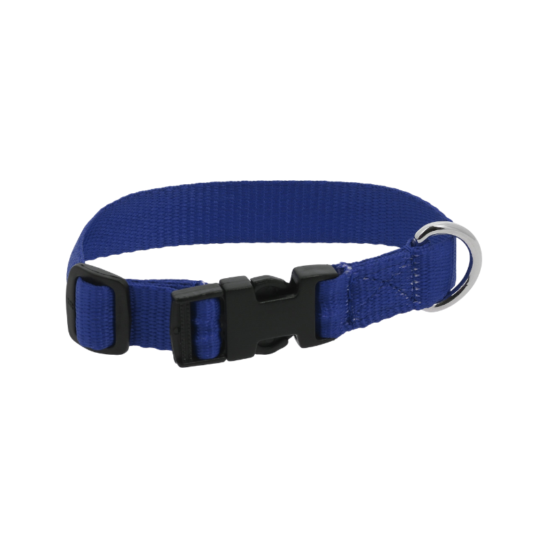 Riding World - Collier pour chien Pat bleu roi