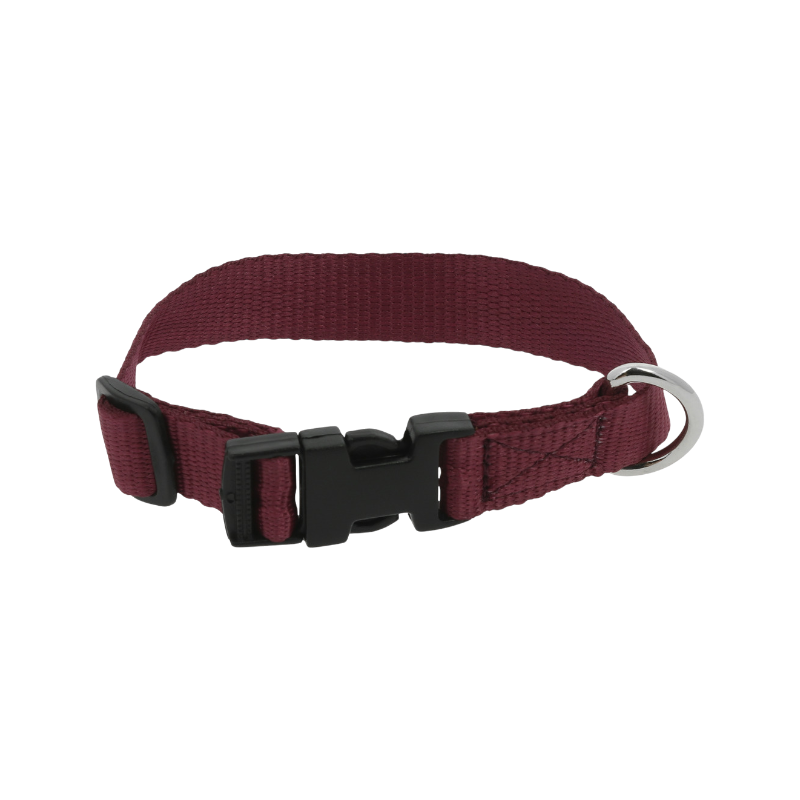 Riding World - Collier pour chien Pat bordeaux