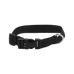 Riding World - Halsband voor hond Pat zwart | - Ohlala