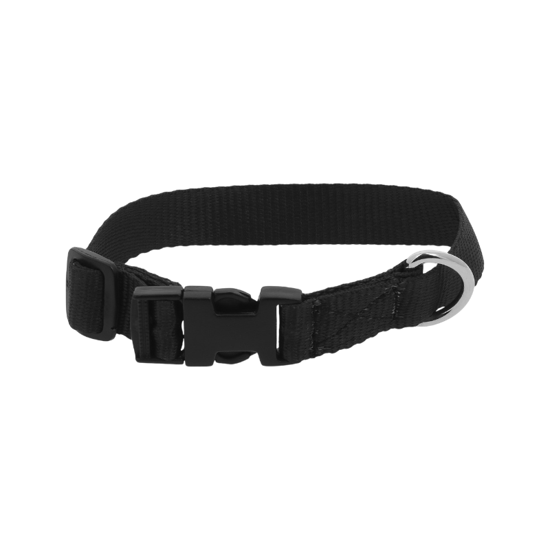 Riding World - Collier pour chien Pat noir