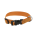 Riding World - Halsband voor hond Pat oranje | - Ohlala