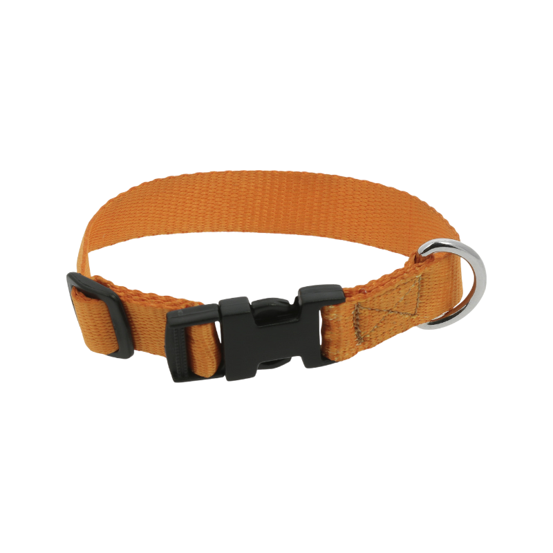 Riding World - Collier pour chien Pat orange