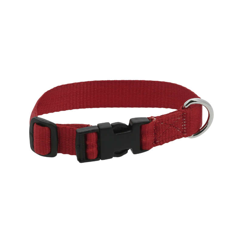 Riding World - Collier pour chien Pat rouge