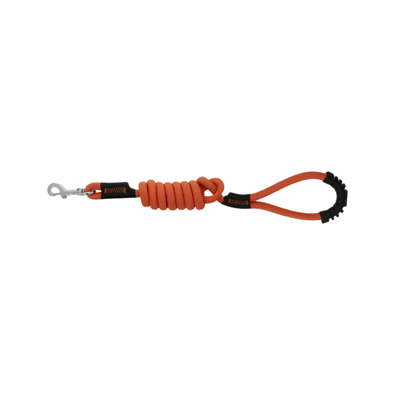 Riding World - Laisse pour chien avec poignée Lucky orange