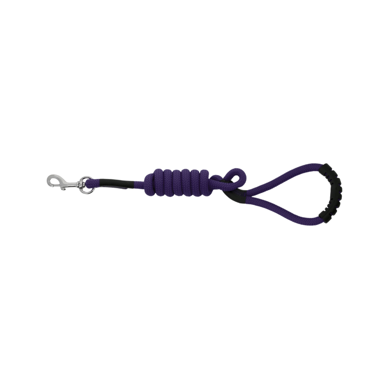 Riding World - Laisse pour chien avec poignée Lucky violet