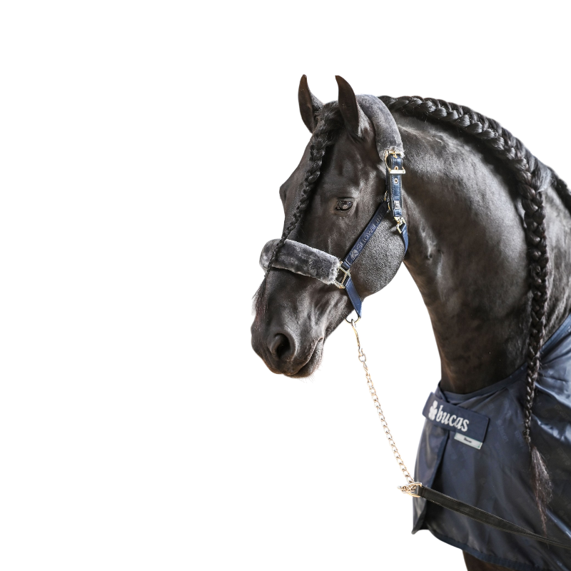 Bucas - Licol Show-line half fur marine/ gris