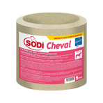 Sodi - Pierre à sel minéral | - Ohlala