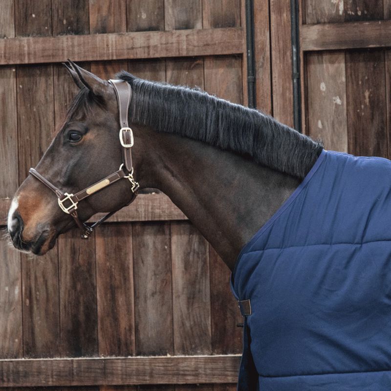 Kentucky Horsewear - Sous-couverture Skin friendly avec couvre-cou marine  150 gr