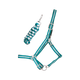 TdeT - Licol doublé avec longe Américaine turquoise/ gris | - Ohlala
