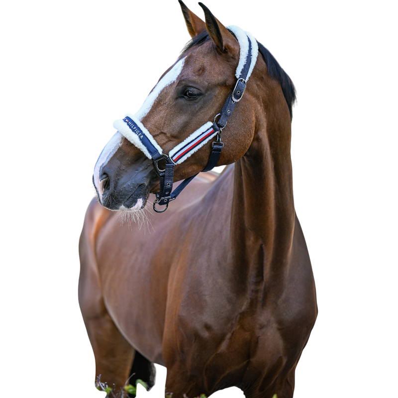 Tommy Hilfiger Equestrian - Halster met synthetisch schaapsvacht Kennedy desert sky