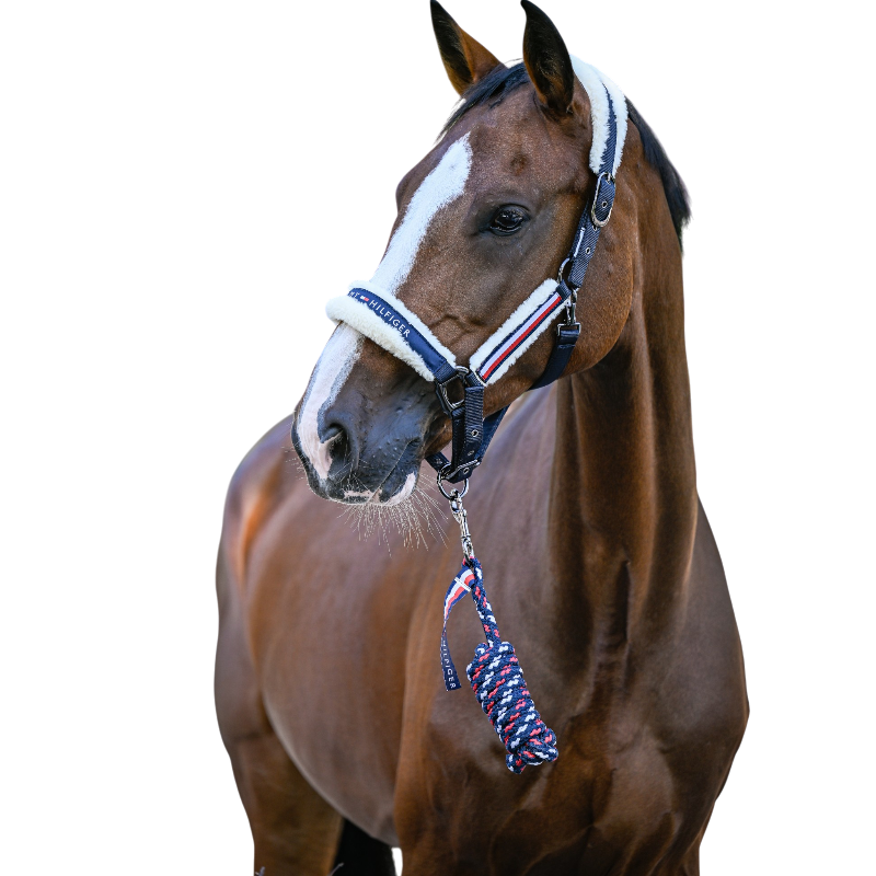 Tommy Hilfiger Equestrian - Halster met synthetisch schaapsvacht Kennedy desert sky
