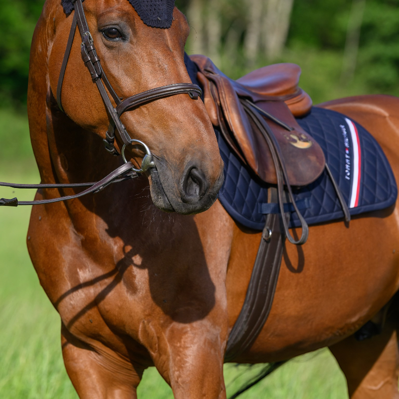 Tommy Hilfiger Equestrian - Tapis de selle Stanford desert sky