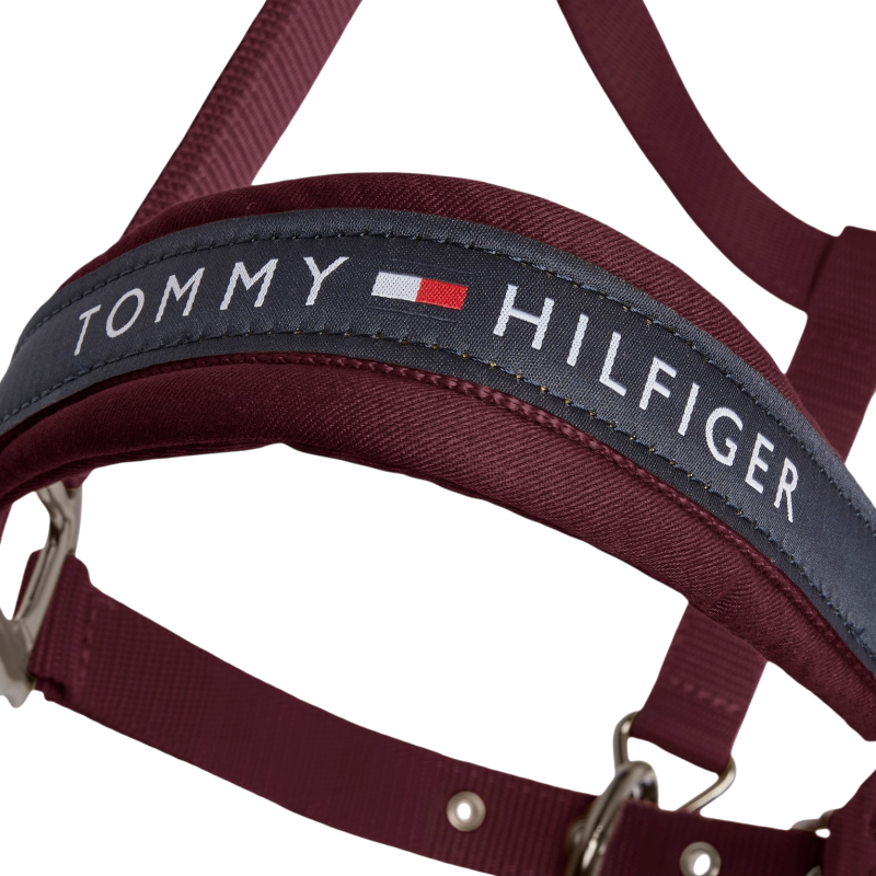 Tommy Hilfiger Equestrian - Licol et longe Yale deep burgundy