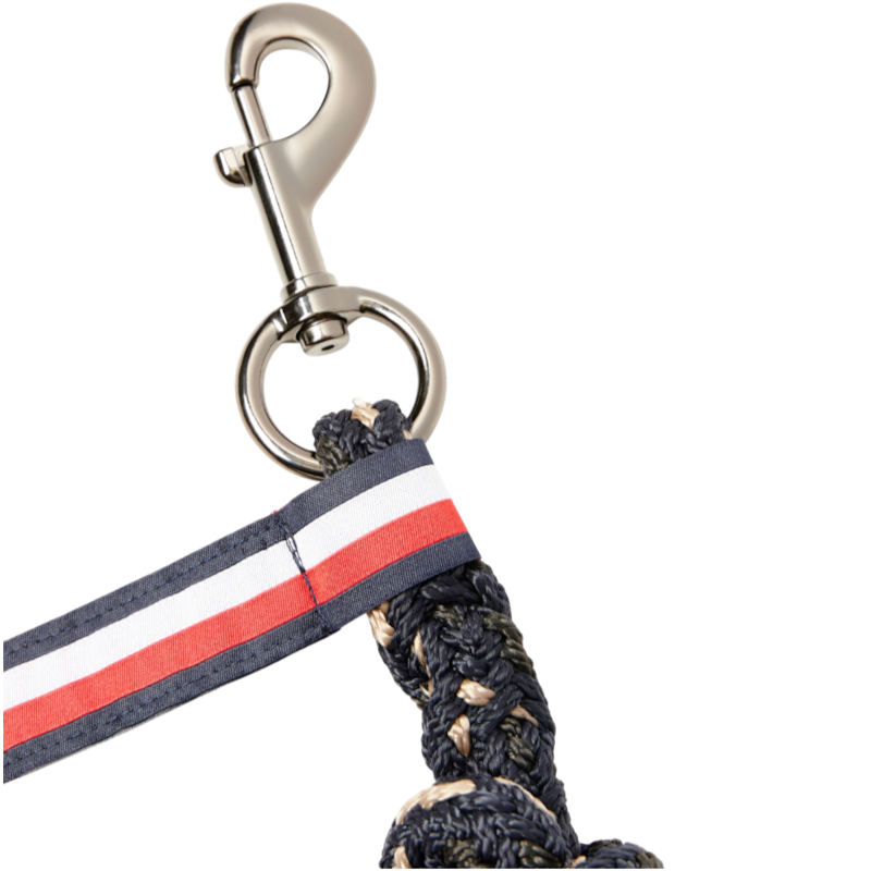 Tommy Hilfiger Equestrian - Licol et longe Yale taupe