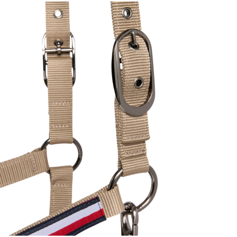 Tommy Hilfiger Equestrian - Licol et longe Yale taupe