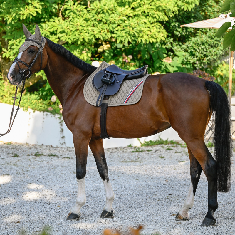 Tommy Hilfiger Equestrian - Tapis de selle Stanford taupe