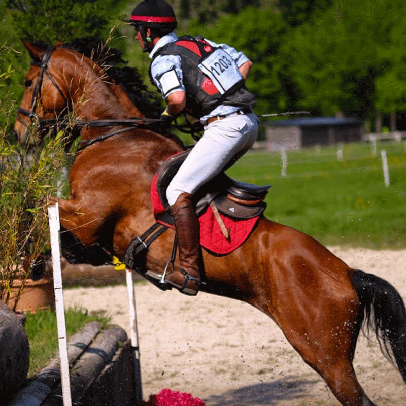 Tacante - Tapis de selle Excel-Anse mixte rouge | - Ohlala