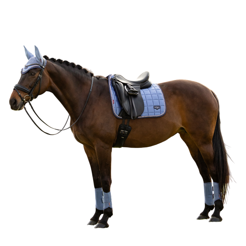 LeMieux - Tapis de dressage Loire Classic powder blue | - Ohlala