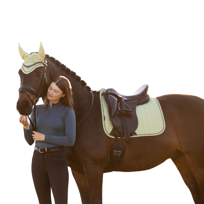 LeMieux - Dressuurpad Suede macaron | - Ohlala