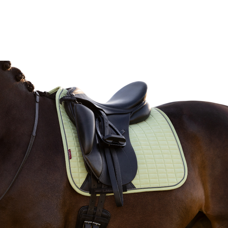 LeMieux - Dressuurpad Suede macaron | - Ohlala