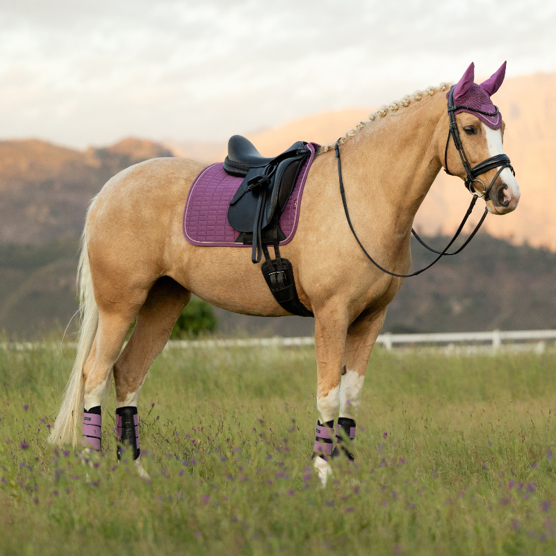 LeMieux - Tapis de dressage Suede mallow | - Ohlala