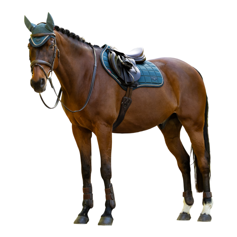 LeMieux - Tapis de selle Classic Close Contact jungle | - Ohlala