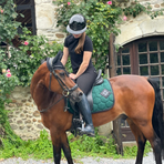 Oxxer - Tapis de selle Diamant vert sapin/ noir paillettes noires | - Ohlala