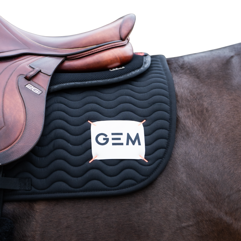 GEM - Tapis de selle Touc Touc noir/ écru