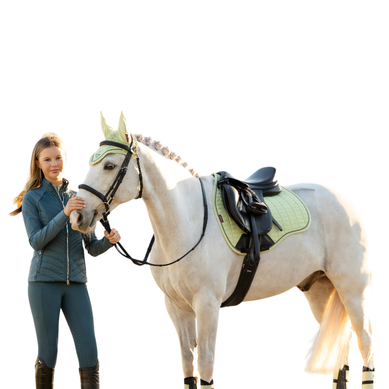 LeMieux - Tapis de selle Suede GP macaron