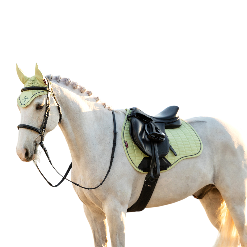 LeMieux - Tapis de selle Suede GP macaron