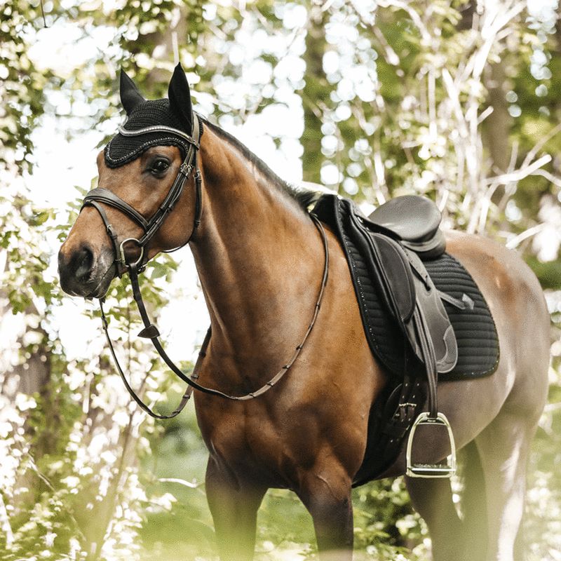 Kentucky Horsewear - Tapis de dressage Pearls noir | - Ohlala