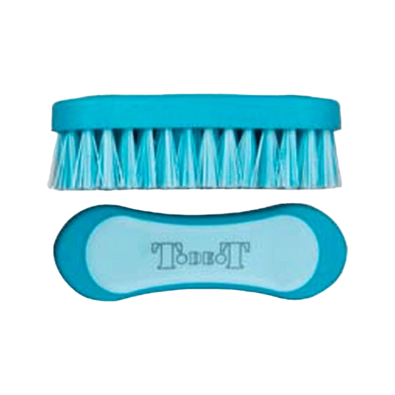 TdeT -  Brosse de tête bicolore turquoise/bleu ciel
