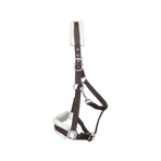 TdeT - Licol nylon et mouton marron | - Ohlala