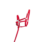 TdeT - Licol foal synthétique rouge | - Ohlala