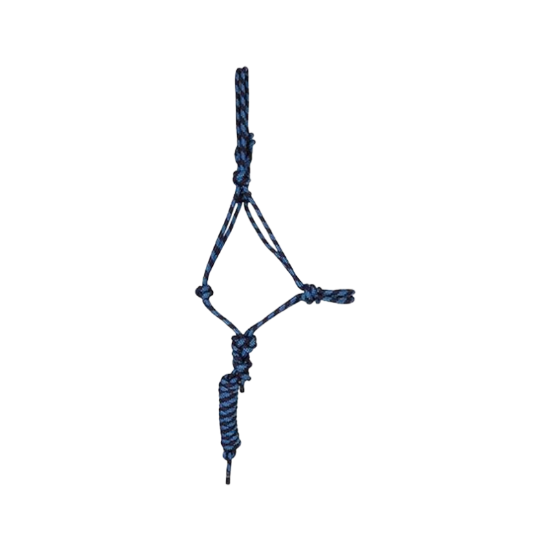 TdeT - Licol éthologique + longe marine/bleu ciel