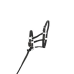 TdeT - Licol foal synthétique noir | - Ohlala