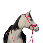 TdeT - Bridon Sidepull Biotack® fuchsia | - Ohlala