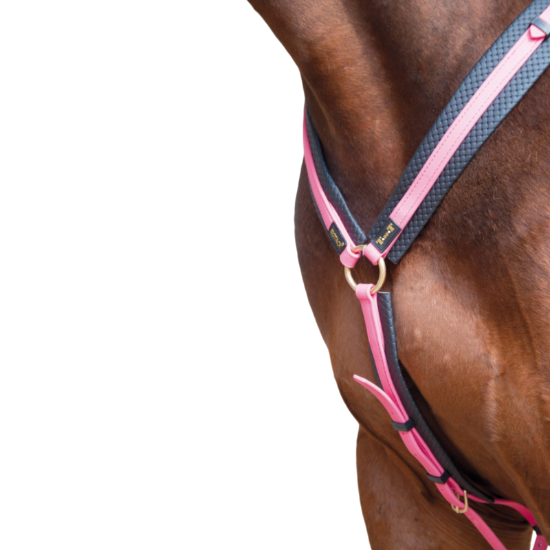 TdeT - Collier de chasse Biotack fuchsia