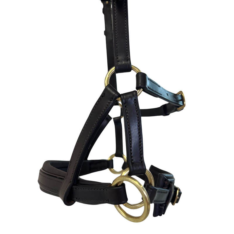 TdeT - Sidepull en cuir No More havane foncé