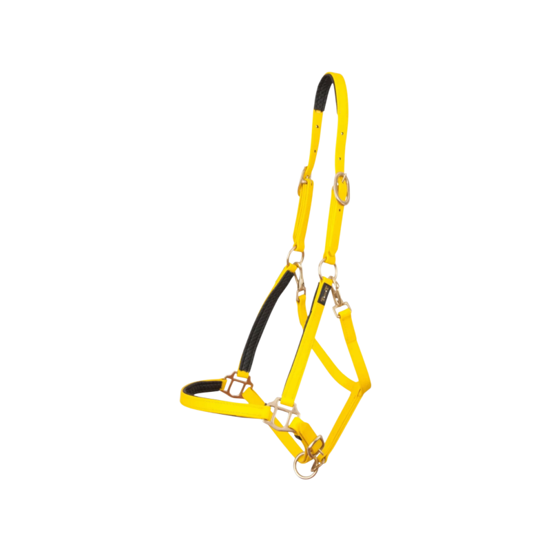 TdeT - Licol Biotack® jaune