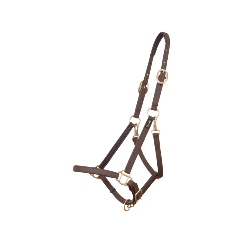 TdeT - Licol Biotack® marron
