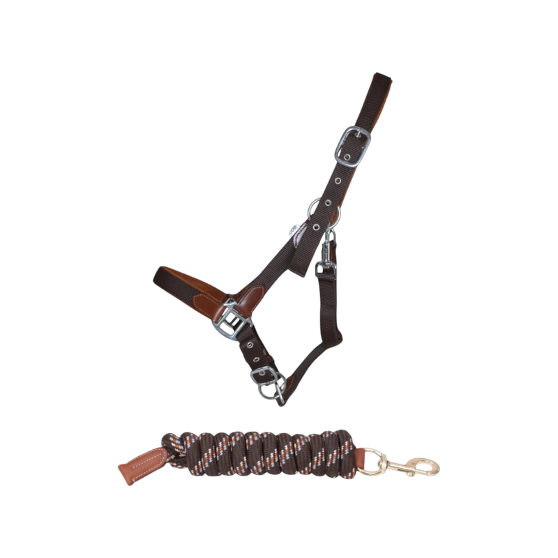 TdeT - Set licol cuir et sangle + longe ronde Luxe marron