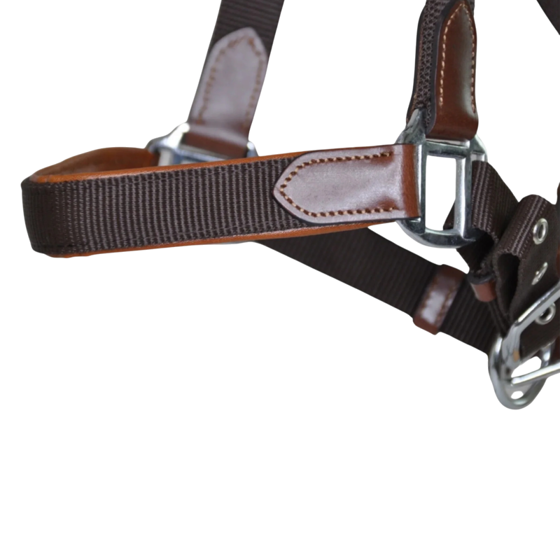 TdeT - Set licol cuir et sangle + longe ronde Luxe marron