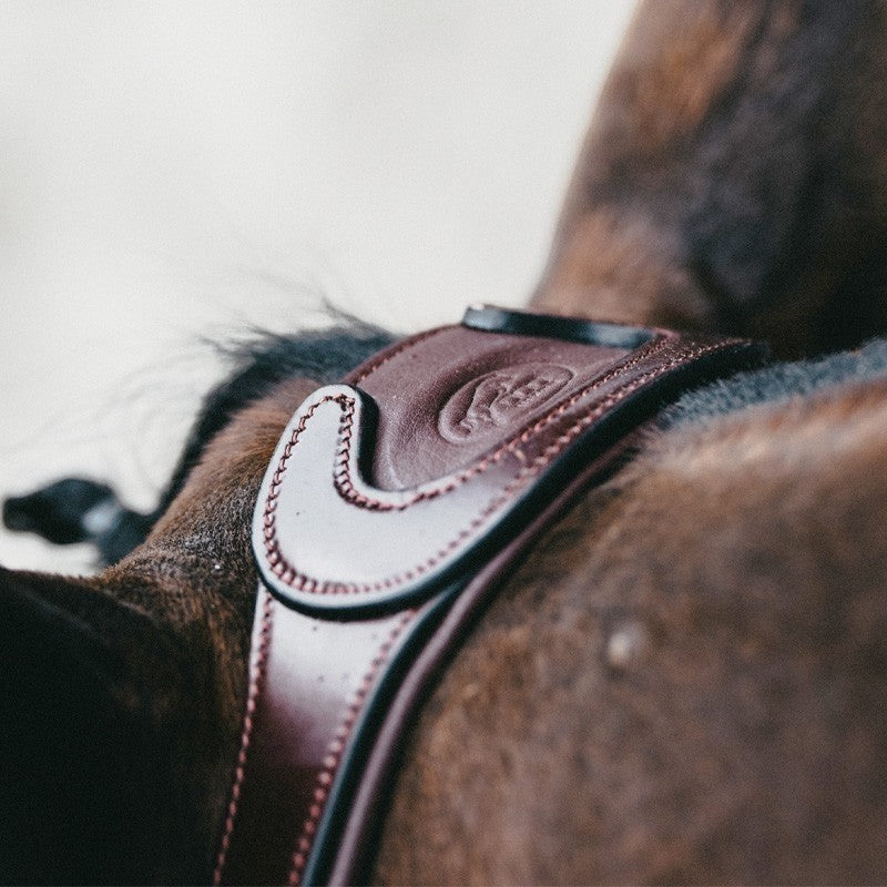 Jump'In - Têtière + rênes Evolution noisette