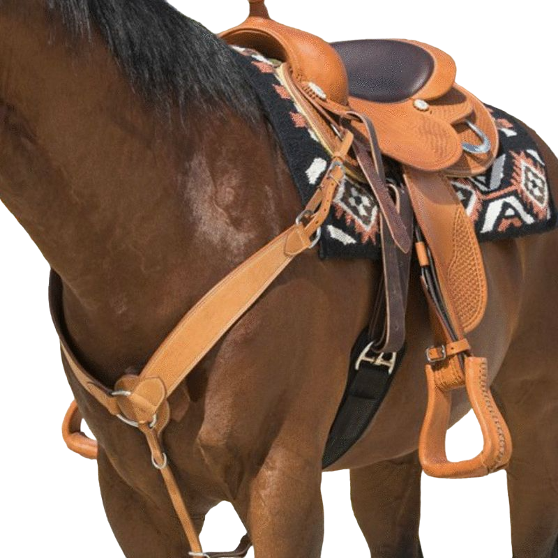 Westride - Collier de chasse Billy choco